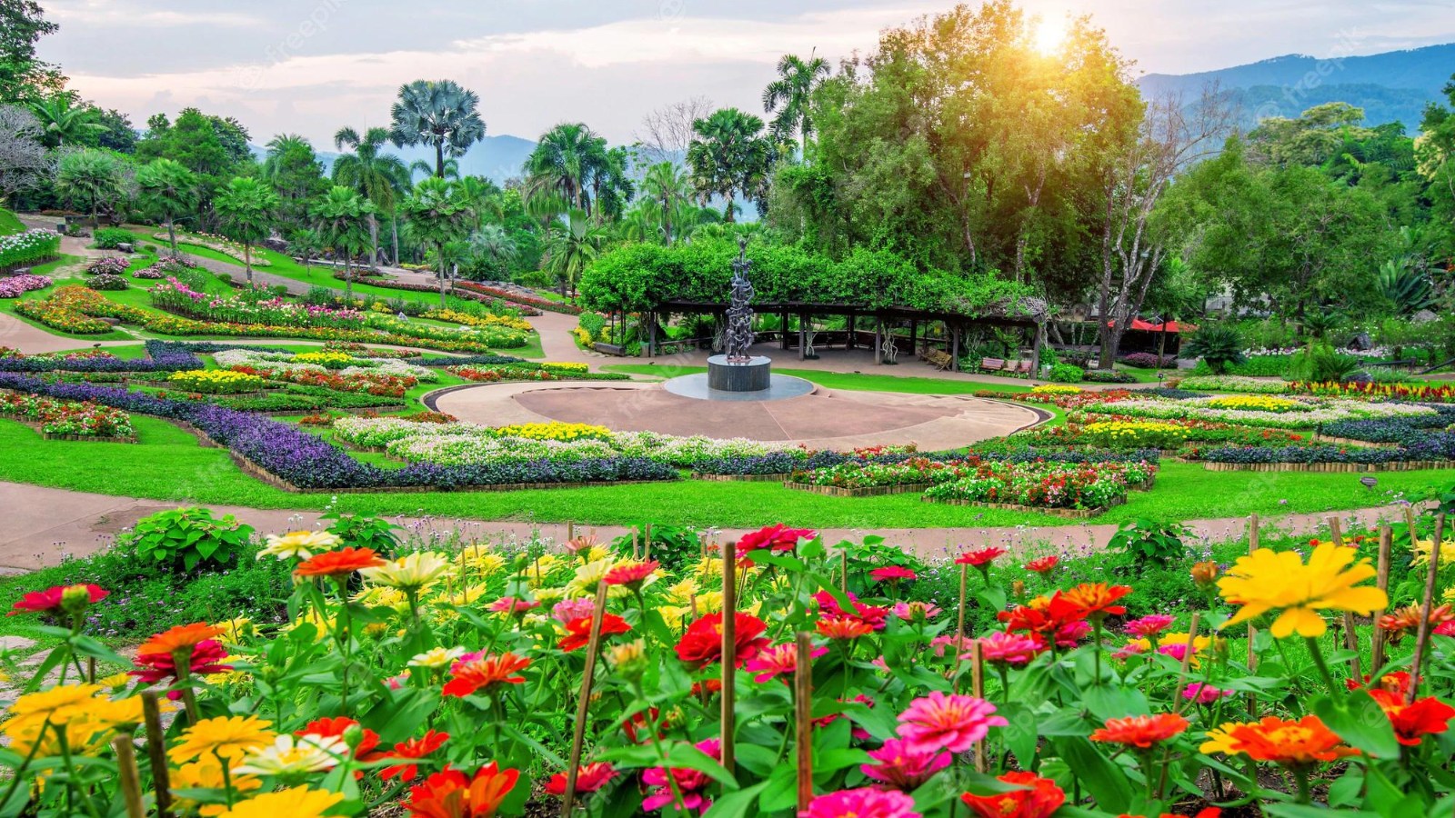 garden-flowers-mae-fah-luang-garden-locate-doi-tung-chiang-rai-thailand